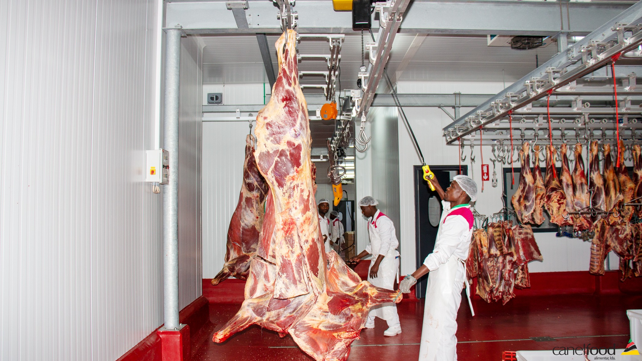 Controlo de temperatura realizado por colaborador da Canelfood