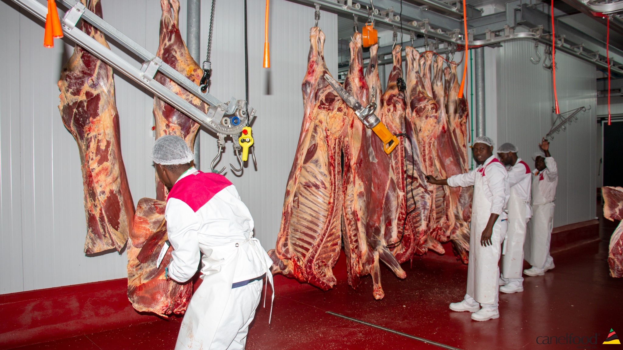 Equipa Canelfood na área de processamento